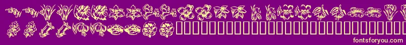 KrBeautifulFlowers2-Schriftart – Gelbe Schriften auf violettem Hintergrund