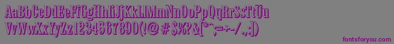 ColonelshadowRegular Font – Purple Fonts on Gray Background