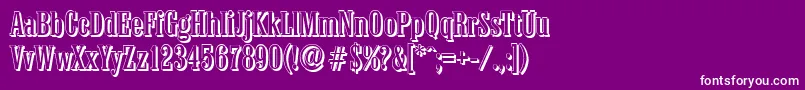 ColonelshadowRegular Font – White Fonts on Purple Background