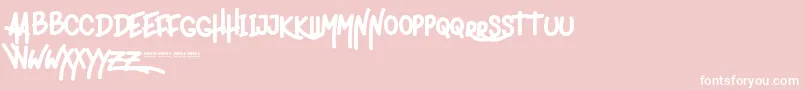 LigeraRouden Font – White Fonts on Pink Background