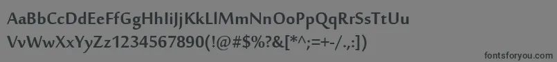 SakkalMajallaРџРѕР»СѓР¶РёСЂРЅС‹Р№ Font – Black Fonts on Gray Background