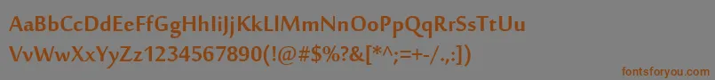 SakkalMajallaРџРѕР»СѓР¶РёСЂРЅС‹Р№ Font – Brown Fonts on Gray Background