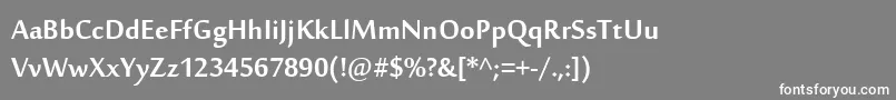 SakkalMajallaРџРѕР»СѓР¶РёСЂРЅС‹Р№ Font – White Fonts on Gray Background