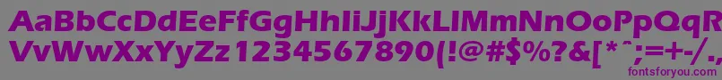 Erasboldc-Schriftart – Violette Schriften auf grauem Hintergrund