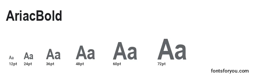 Размеры шрифта AriacBold