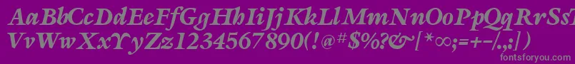 SevillaRegularDb Font – Gray Fonts on Purple Background