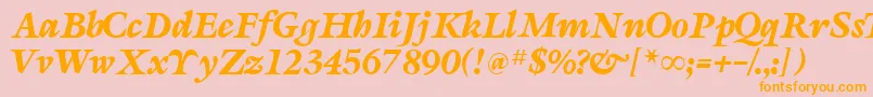 SevillaRegularDb Font – Orange Fonts on Pink Background