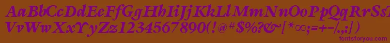 SevillaRegularDb Font – Purple Fonts on Brown Background