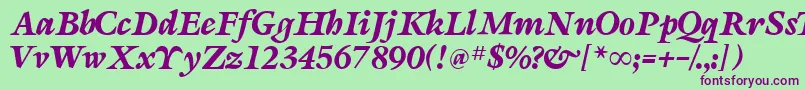 SevillaRegularDb Font – Purple Fonts on Green Background