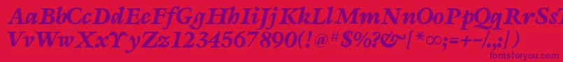 SevillaRegularDb Font – Purple Fonts on Red Background