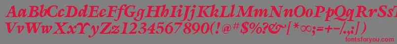 SevillaRegularDb Font – Red Fonts on Gray Background