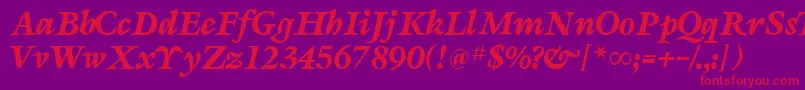 SevillaRegularDb-Schriftart – Rote Schriften auf violettem Hintergrund