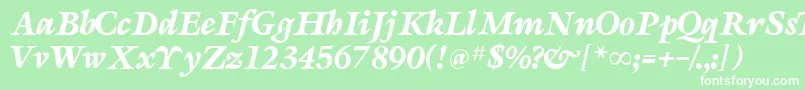 SevillaRegularDb Font – White Fonts on Green Background