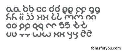 Review of the Sandra Font