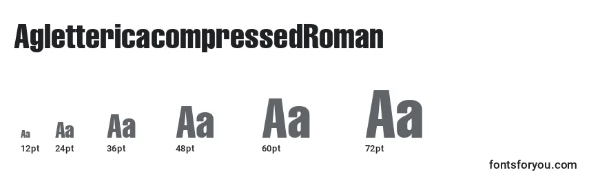 Размеры шрифта AglettericacompressedRoman