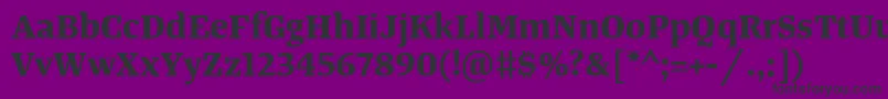 TangerserifmediumBold Font – Black Fonts on Purple Background