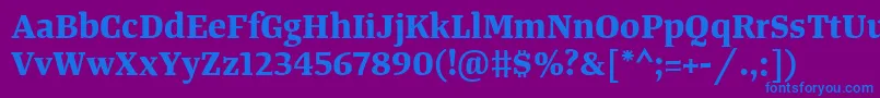 TangerserifmediumBold Font – Blue Fonts on Purple Background