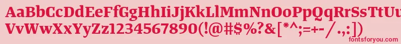 TangerserifmediumBold Font – Red Fonts on Pink Background