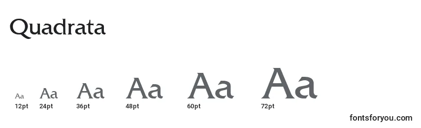 Размеры шрифта Quadrata