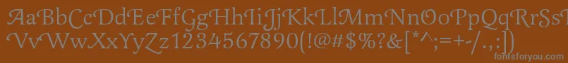 Latienneswat Font – Gray Fonts on Brown Background