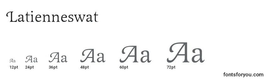 Размеры шрифта Latienneswat