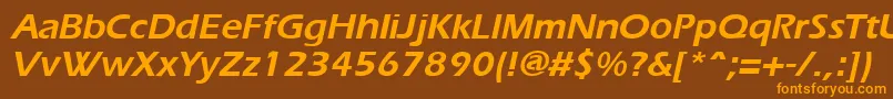 ErgoeBoldItalic Font – Orange Fonts on Brown Background