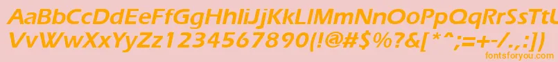 ErgoeBoldItalic Font – Orange Fonts on Pink Background