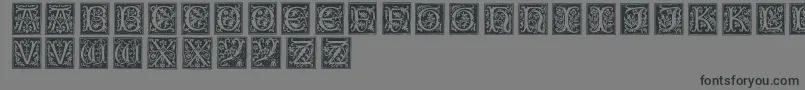 フォントTypographerwoodcut01 – 黒い文字の灰色の背景