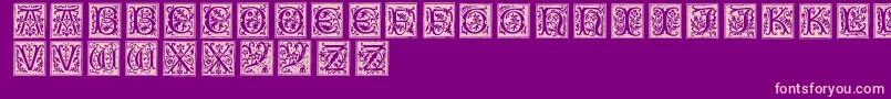 Typographerwoodcut01 Font – Pink Fonts on Purple Background