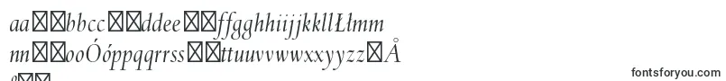 SpectrummtstdItalic Font – Polish Fonts