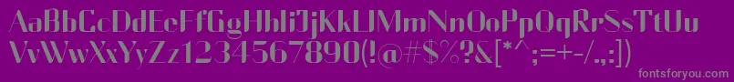 CurrencyReg-Schriftart – Graue Schriften auf violettem Hintergrund