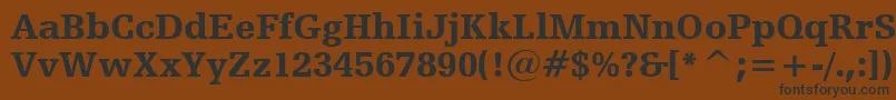 Czcionka HumanistSlabserif712BlackBt – czarne czcionki na brązowym tle