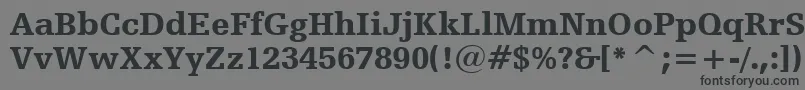 HumanistSlabserif712BlackBt Font – Black Fonts on Gray Background
