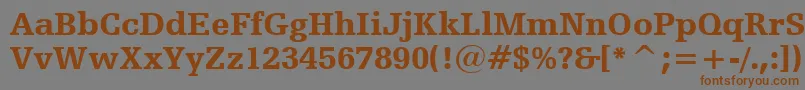 HumanistSlabserif712BlackBt Font – Brown Fonts on Gray Background