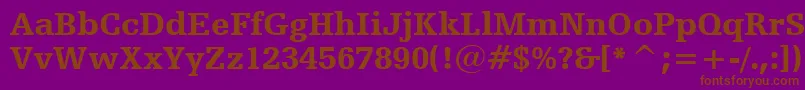 HumanistSlabserif712BlackBt Font – Brown Fonts on Purple Background