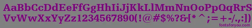 HumanistSlabserif712BlackBt-Schriftart – Violette Schriften auf grauem Hintergrund