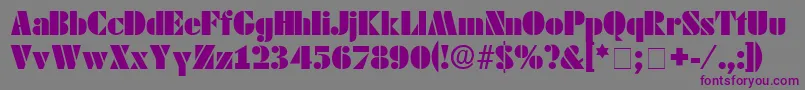 フォントCadoDisplaySsi – 紫色のフォント、灰色の背景