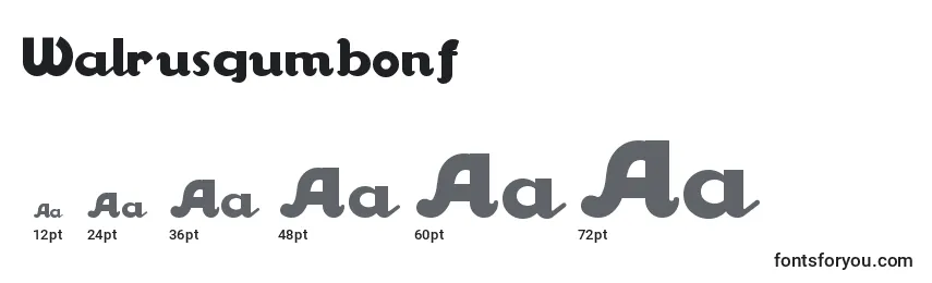 Walrusgumbonf Font Sizes