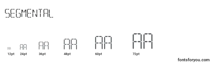 Segmental Font Sizes