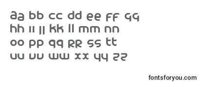 Обзор шрифта Cac