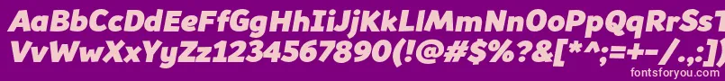 Souses Font – Pink Fonts on Purple Background