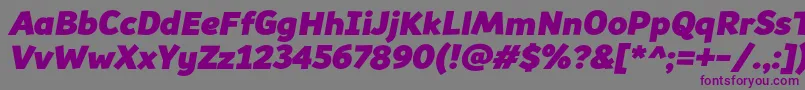 Souses Font – Purple Fonts on Gray Background