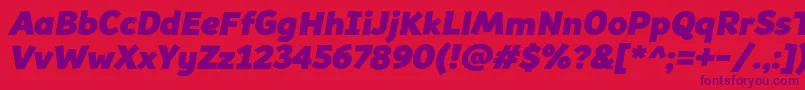 Souses Font – Purple Fonts on Red Background