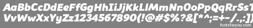 フォントSouses – 灰色の背景に白い文字