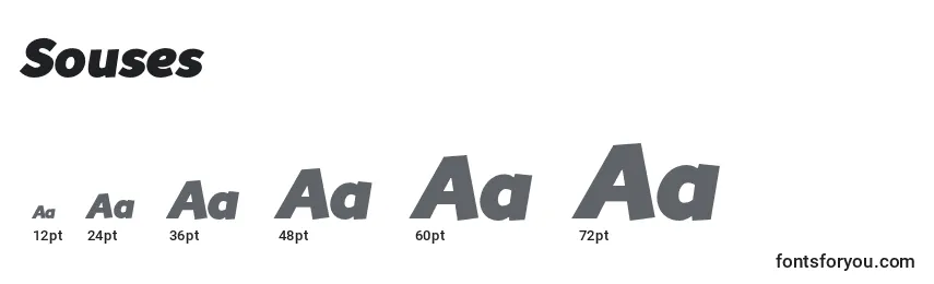 Размеры шрифта Souses