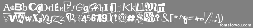 フォントRansom ffy – 灰色の背景に白い文字