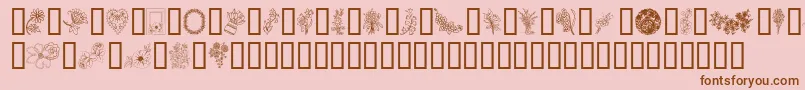 FromTheGarden Font – Brown Fonts on Pink Background