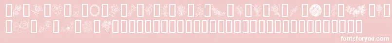 FromTheGarden-fontti – valkoiset fontit vaaleanpunaisella taustalla