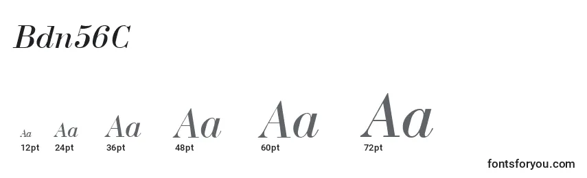 Bdn56C Font Sizes