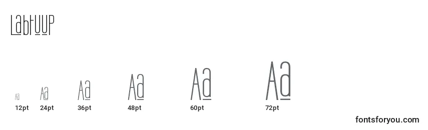 Labtuup Font Sizes